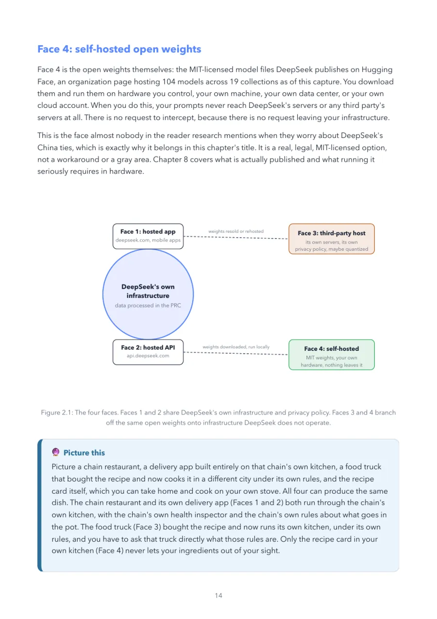 DeepSeek Made Crystal Clear, page 14: the four faces