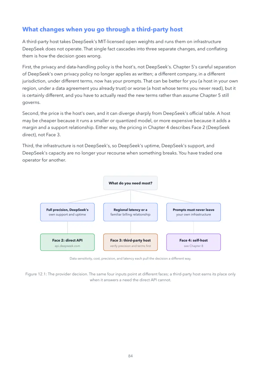 DeepSeek Made Crystal Clear, page 84: the provider decision