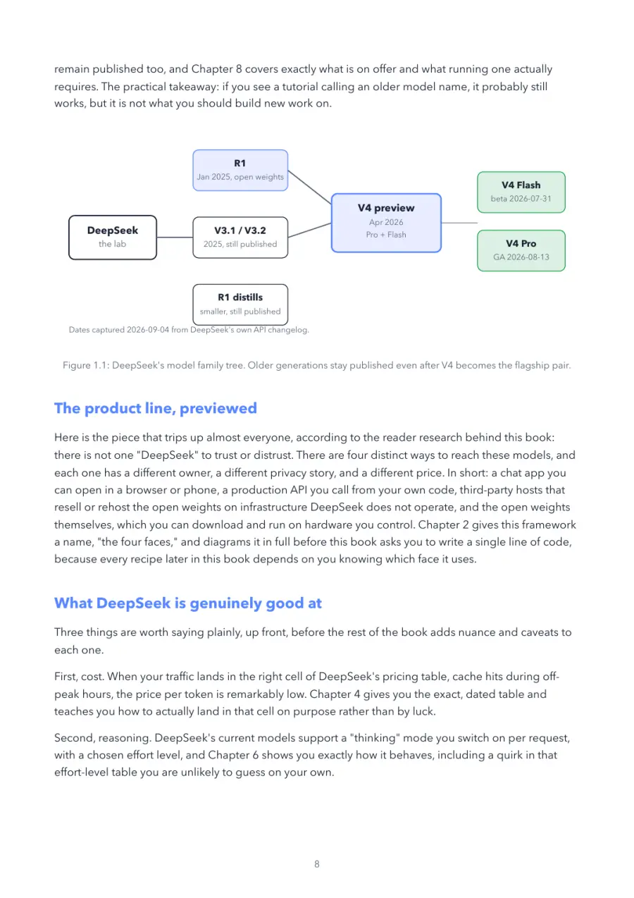 DeepSeek Made Crystal Clear, page 8: deepSeek's model family tree
