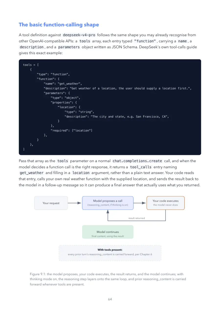 DeepSeek Made Crystal Clear, page 64: the model proposes, your code executes, the result returns, and the model continues;
